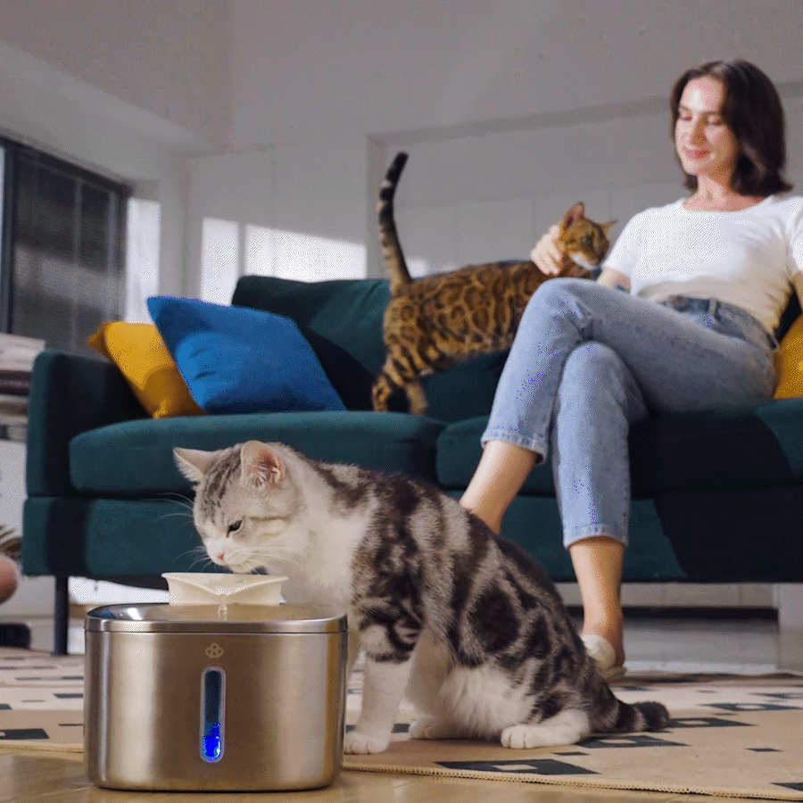 Oneisall 3.5L Corded Pet Water Fountain with 3PCS Filters - Image 2