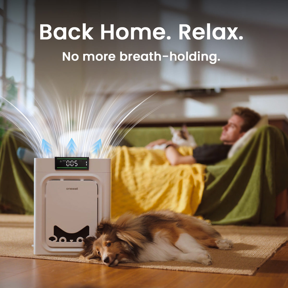 Oneisall 2-in-1 Cat Bed Air Purifier - Image 19
