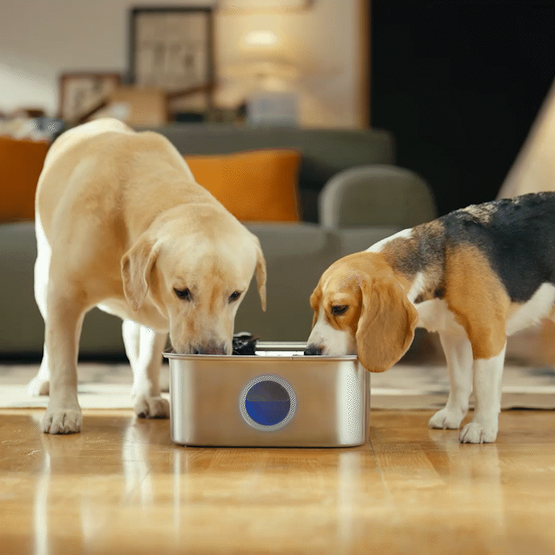 Oneisall 10L Pet Water Fountain for Large Dogs - Image 2