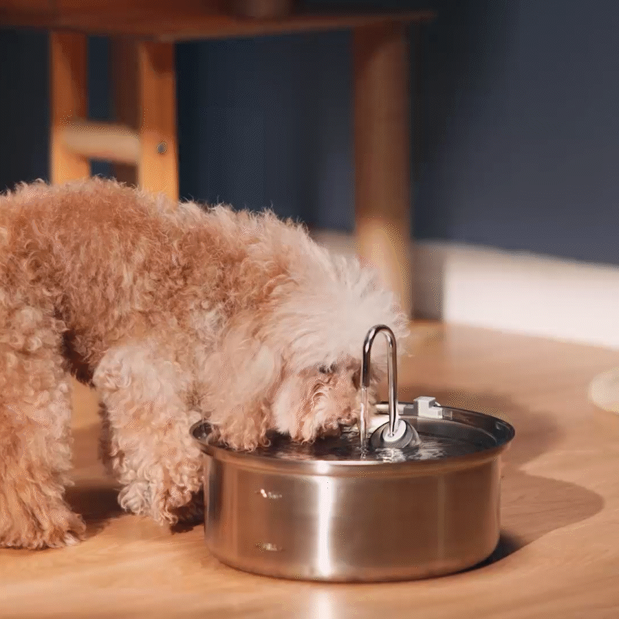 Oneisall 7L Pet Water Fountain with 1.5m Power Cord - Image 3