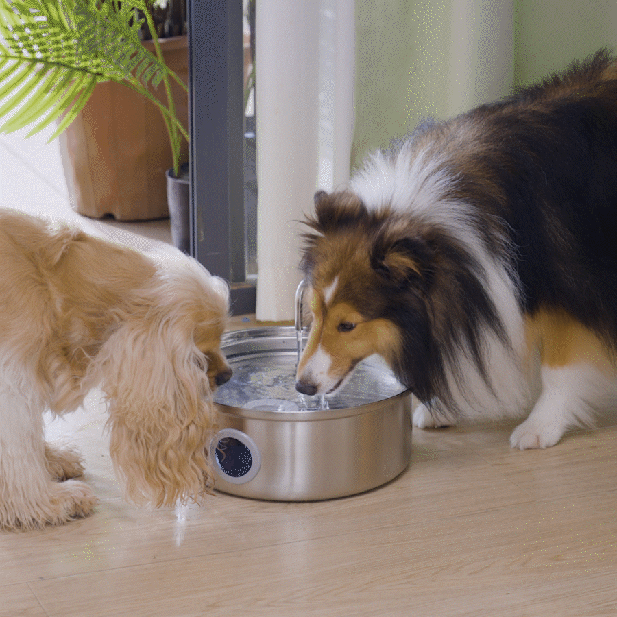 Oneisall 7L Pet Water Fountain with Visual Water Level - Image 2