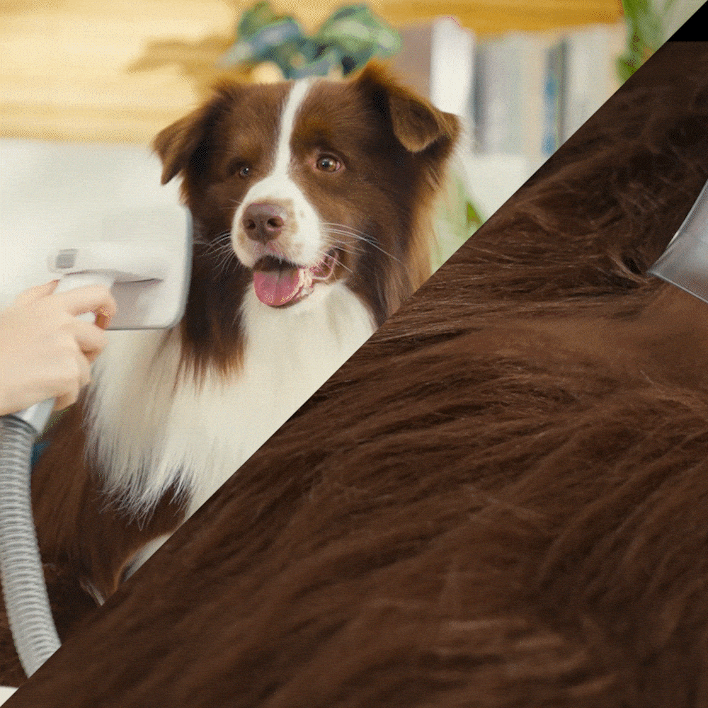 Oneisall Hair & Odor Control Set for Homes with Pets - Image 2