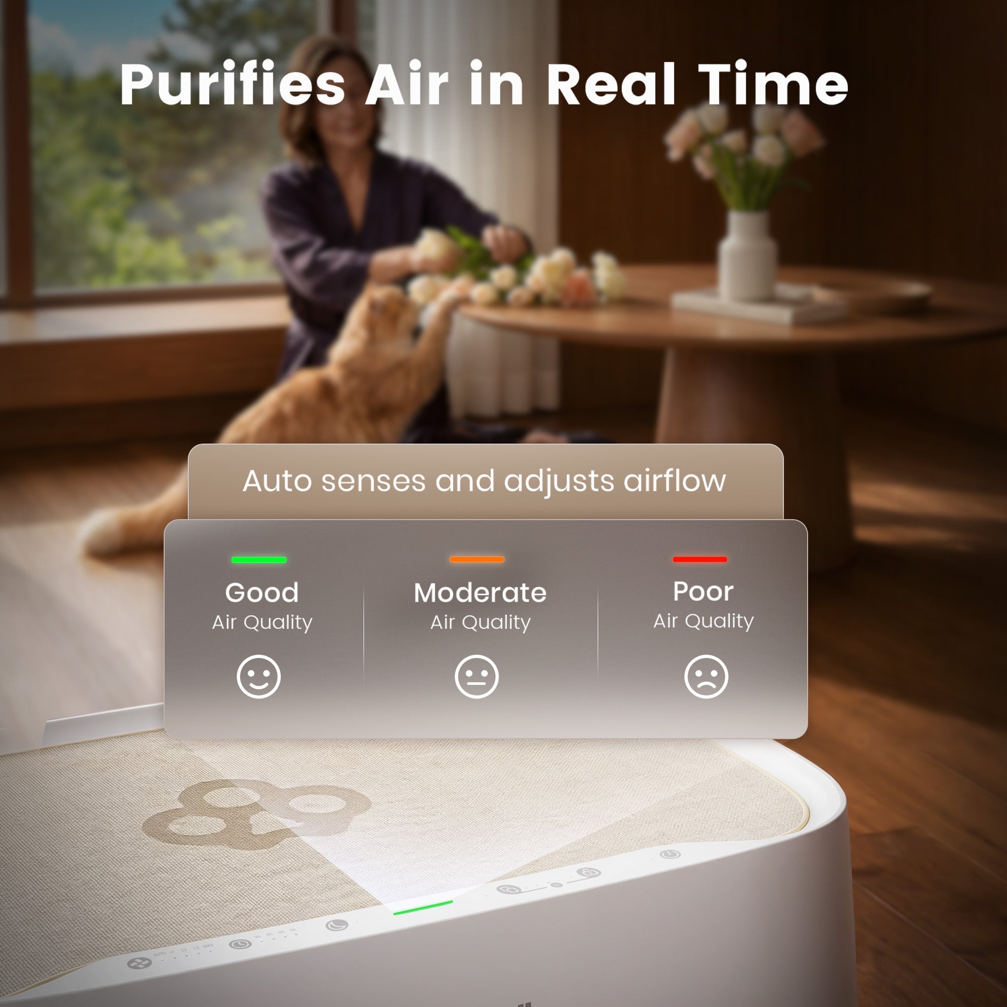 Oneisall 2-in-1 Cat Bed Air Purifier - Image 8