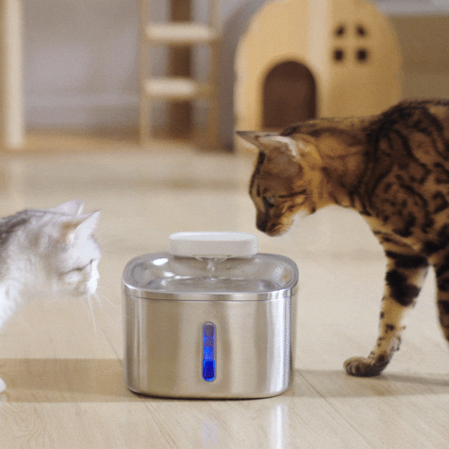 Oneisall 3.5L Cordless Pet Water Fountain ?C Black & White Couple Set - Image 20