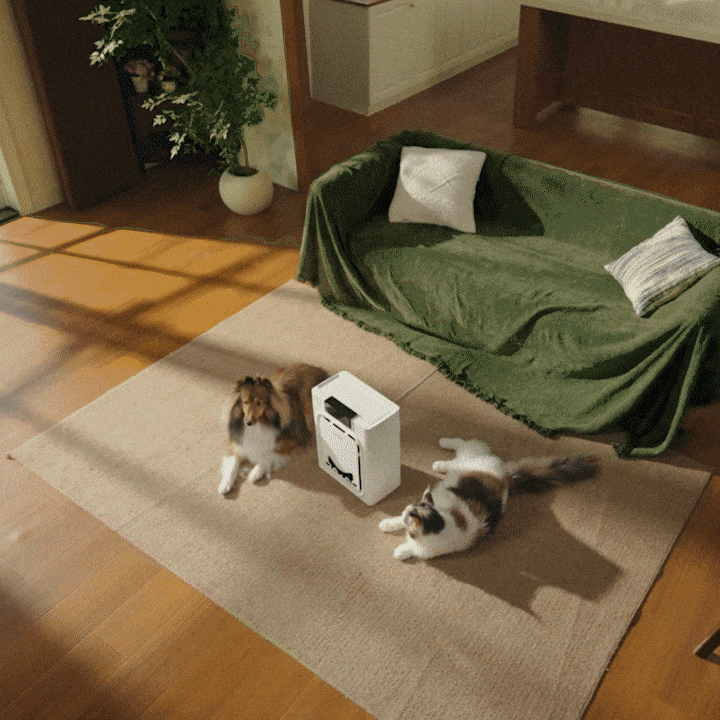 Oneisall Air Purifiers for Home Pets with Double-Sided Inlet. 3-Pack Set - Image 16