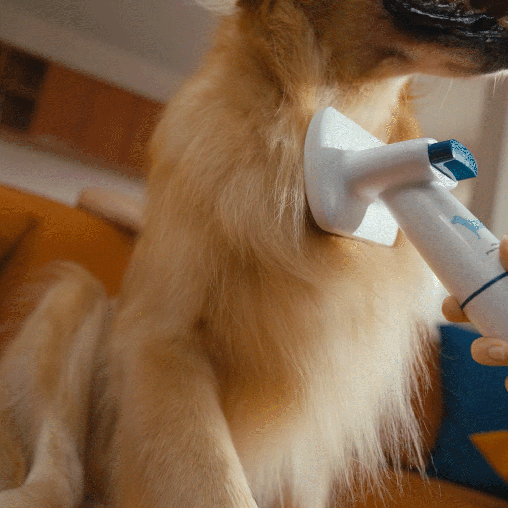 Oneisall BM3 13000Pa Super Strong Suction Dog Grooming Vacuum Kit - Image 2