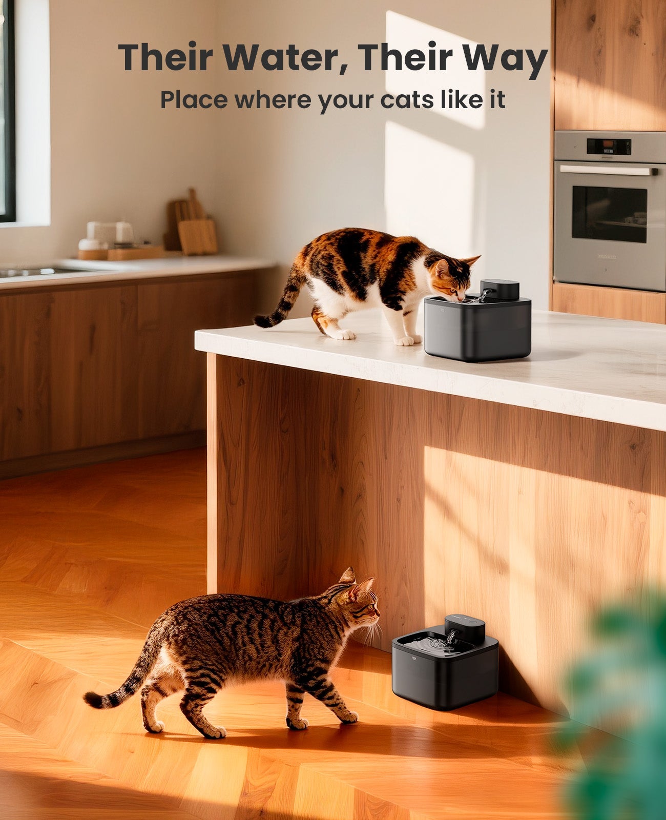 Oneisall 2.2L Cordless Cat Water Fountain - Image 6