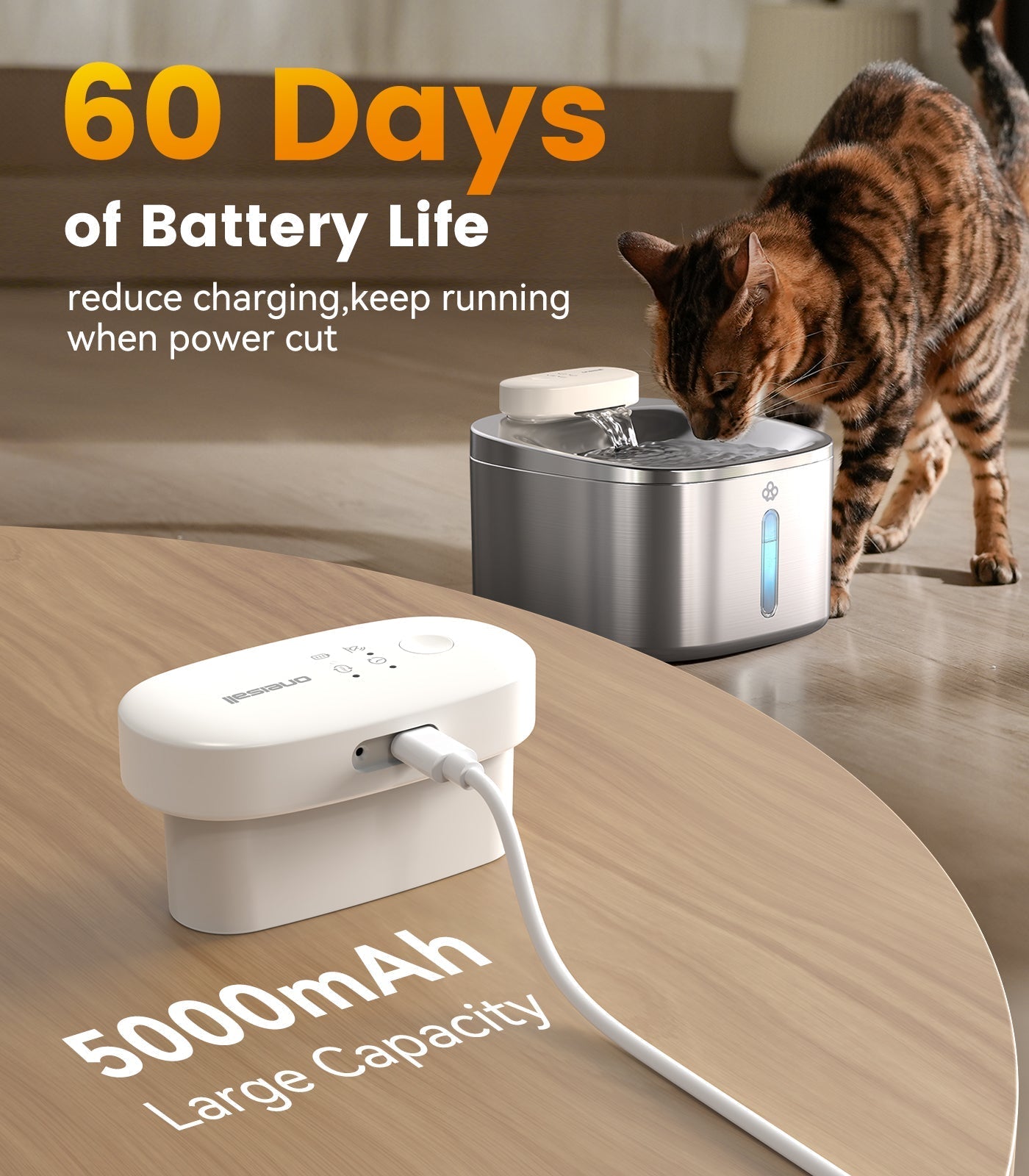 Oneisall 3.5L Automatic Cat Feeder with APP Control & 2.4G Wi-Fi - Image 15