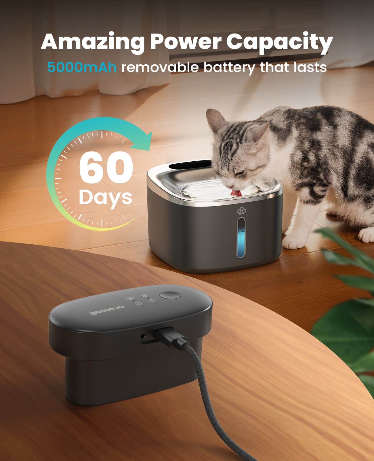 Oneisall Automatic Cat Litter Box. Feeder & Water Fountain Set - Image 14