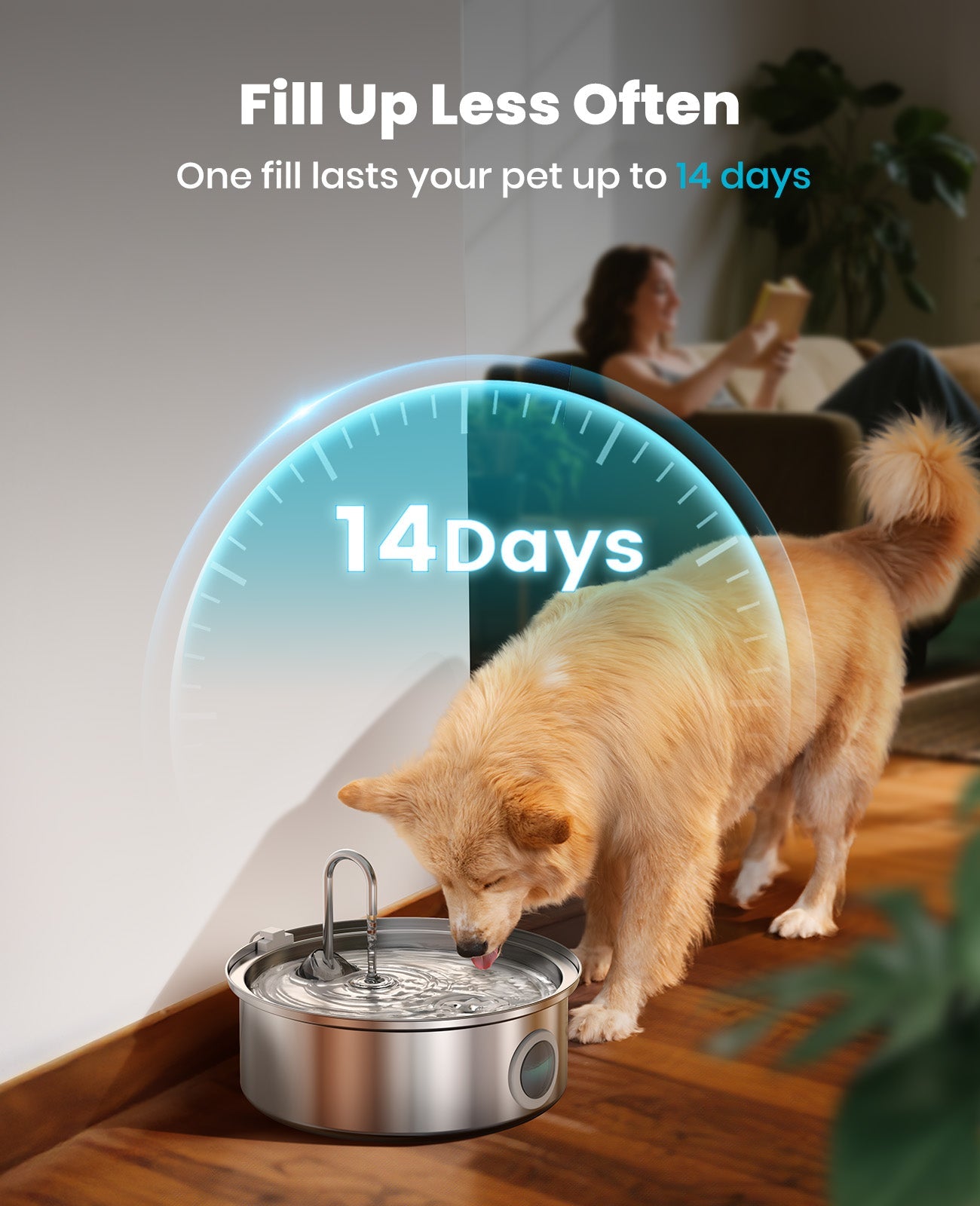 Oneisall 7L Pet Water Fountain with Visual Water Level - Image 6