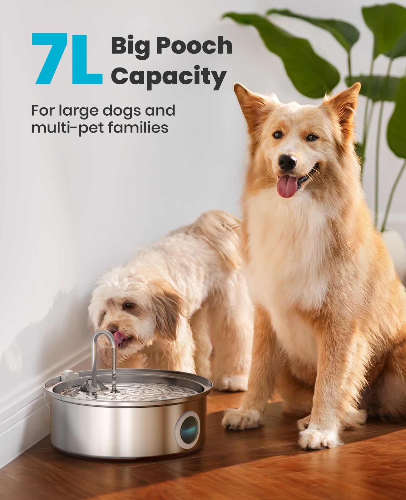 Oneisall 7L Pet Water Fountain with Visual Water Level - Image 5